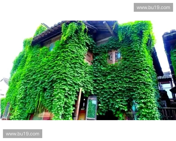 暴风英雄双人组合策略与协作技巧深度解析与实战应用全方位指南